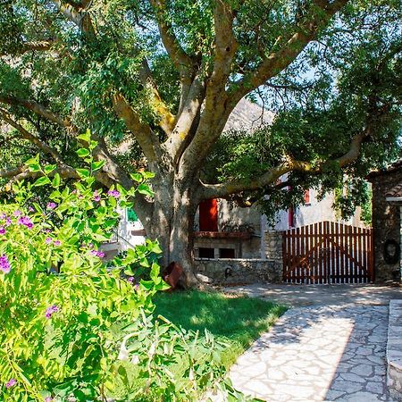 Platístoma Menelia Cottage חדר תמונה