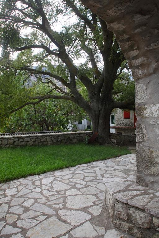 Platístoma Menelia Cottage חדר תמונה